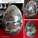 Versteinertes Holz 81kg